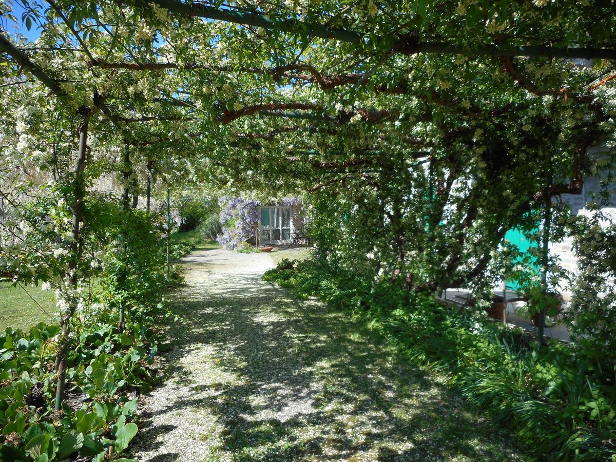 Agriturismo Cascina Serra Cossano Belbo Dış mekan fotoğraf