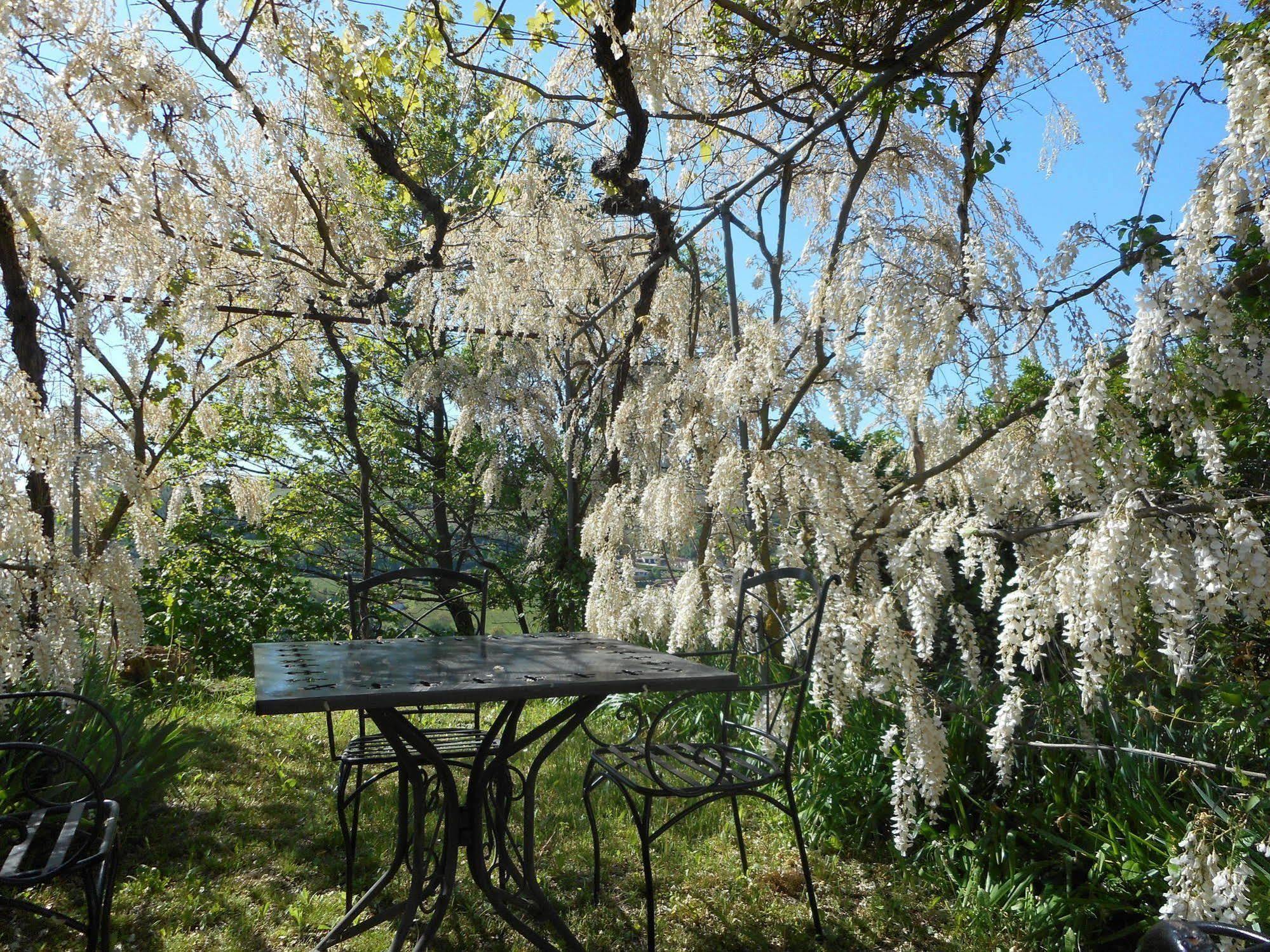 Agriturismo Cascina Serra Cossano Belbo Dış mekan fotoğraf